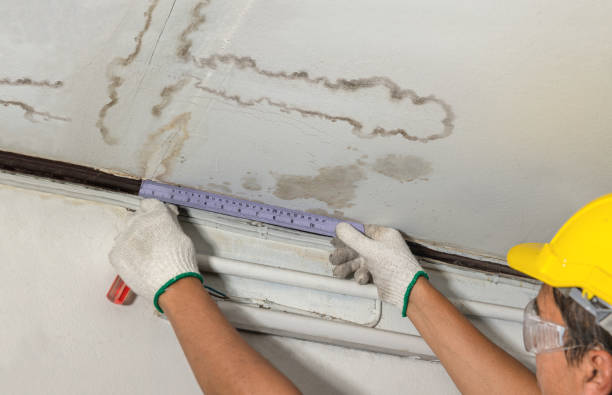 Reliable Mold Remediation contractor in Morrisonville, IL by Water Damage Irwin